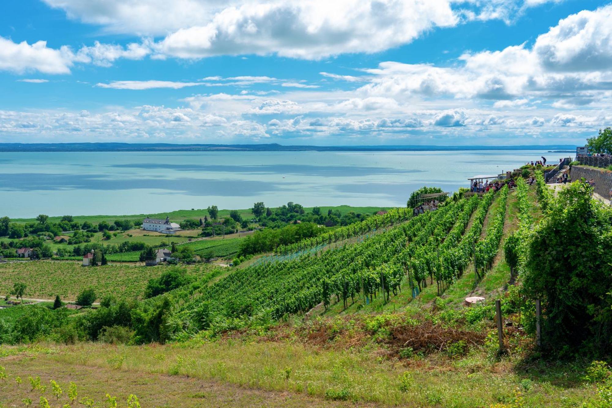 Lake Side Luxury Steps To The Lake Lela - Happy Rentals Balatonlelle Exterior photo